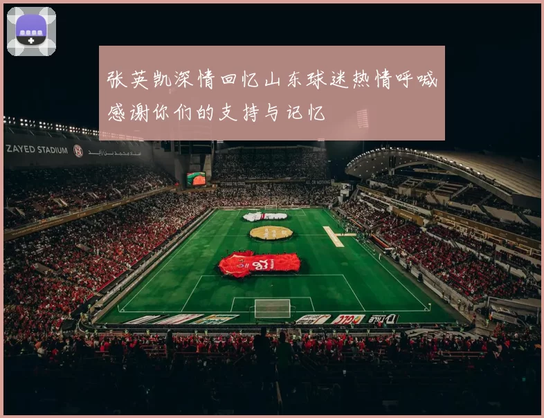 张英凯深情回忆山东球迷热情呼喊感谢你们的支持与记忆
